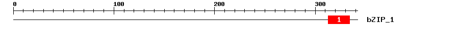 Signature Domain