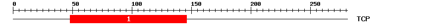 Signature Domain