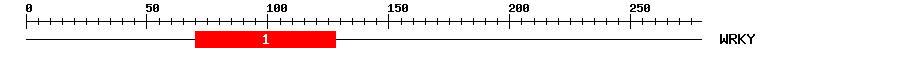 Signature Domain