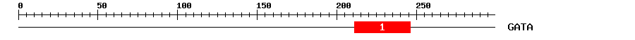 Signature Domain