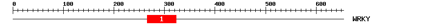 Signature Domain