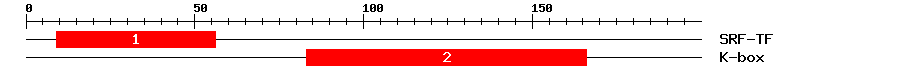 Signature Domain