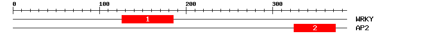 Signature Domain