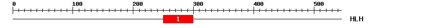 Signature Domain