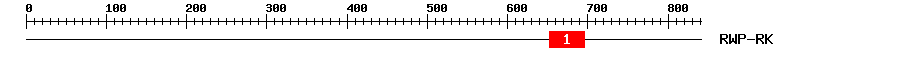 Signature Domain