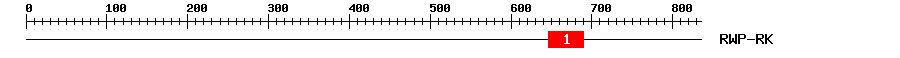 Signature Domain
