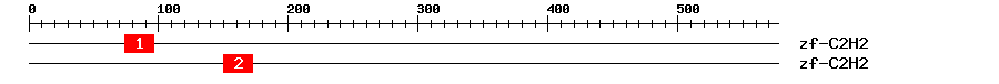 Signature Domain