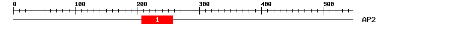 Signature Domain