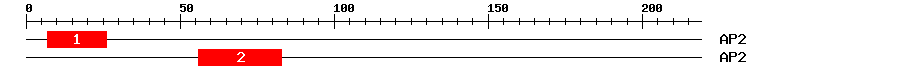 Signature Domain
