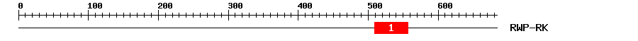Signature Domain