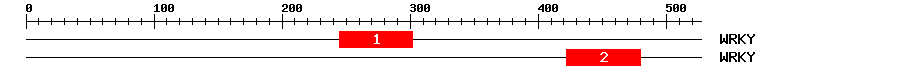 Signature Domain