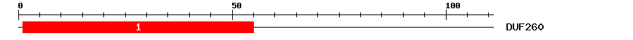 Signature Domain
