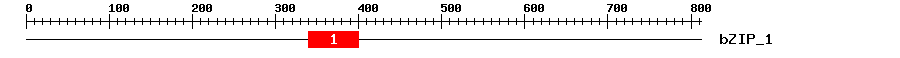 Signature Domain