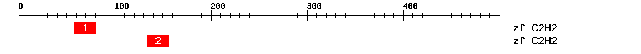 Signature Domain