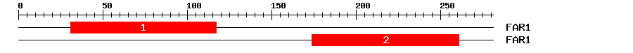 Signature Domain