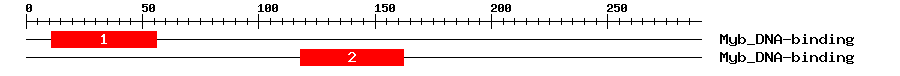 Signature Domain