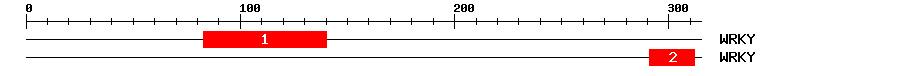 Signature Domain