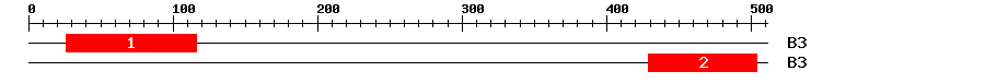 Signature Domain