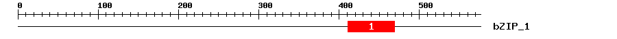 Signature Domain