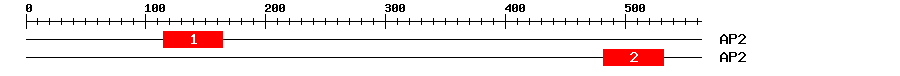 Signature Domain