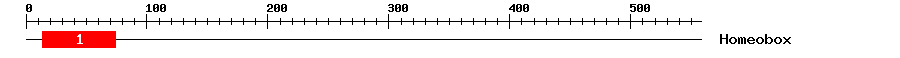 Signature Domain