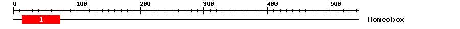 Signature Domain