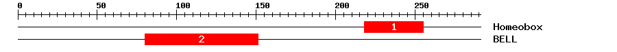 Signature Domain