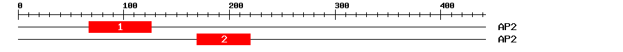 Signature Domain