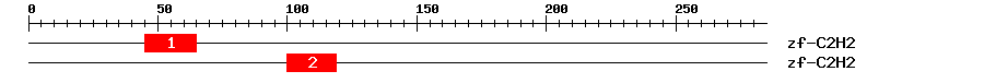 Signature Domain