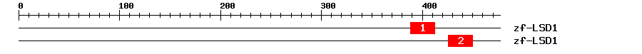 Signature Domain