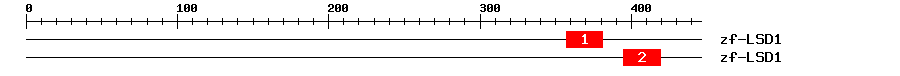 Signature Domain