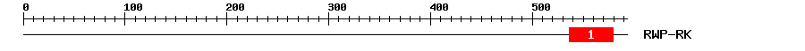 Signature Domain