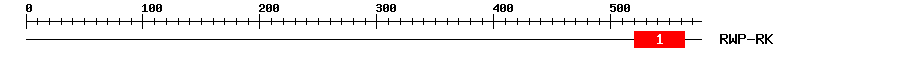 Signature Domain