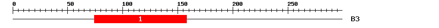 Signature Domain