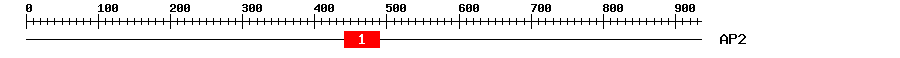 Signature Domain