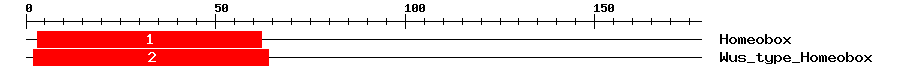 Signature Domain