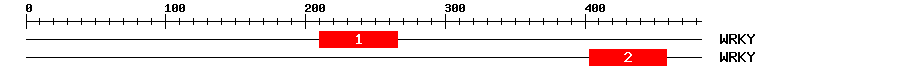 Signature Domain