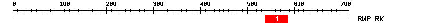 Signature Domain