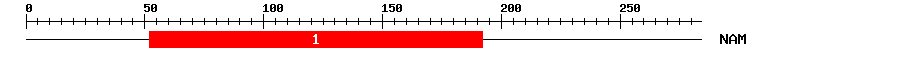 Signature Domain