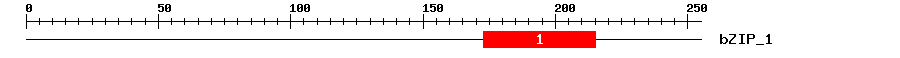 Signature Domain
