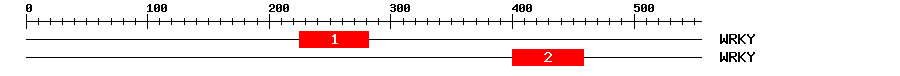 Signature Domain