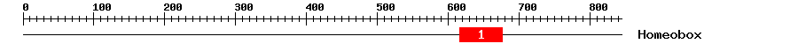 Signature Domain