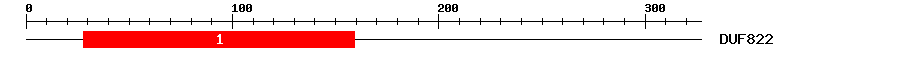 Signature Domain