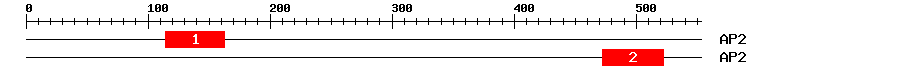 Signature Domain