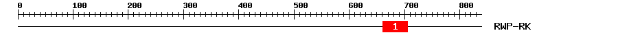 Signature Domain