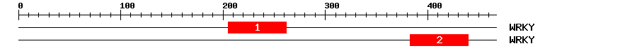 Signature Domain