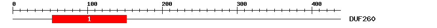 Signature Domain
