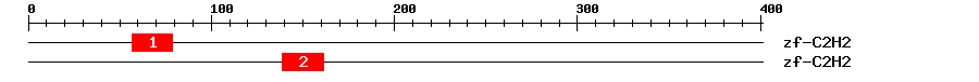 Signature Domain
