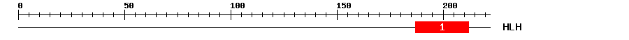 Signature Domain