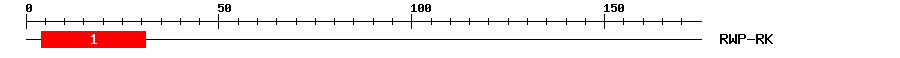 Signature Domain